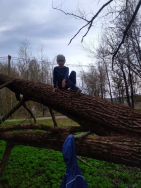 Изображение Изображение